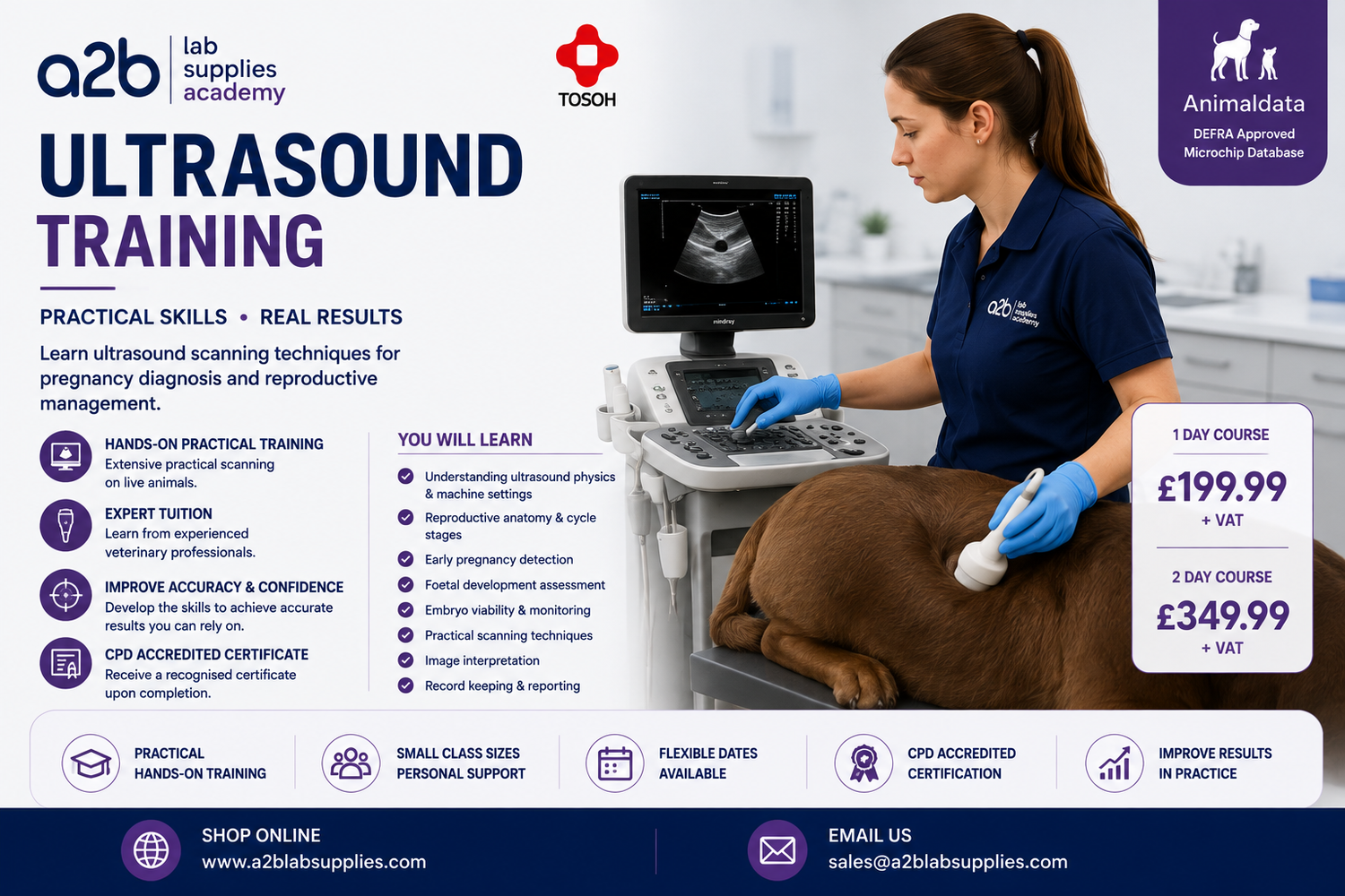Ultrasound Training Courses