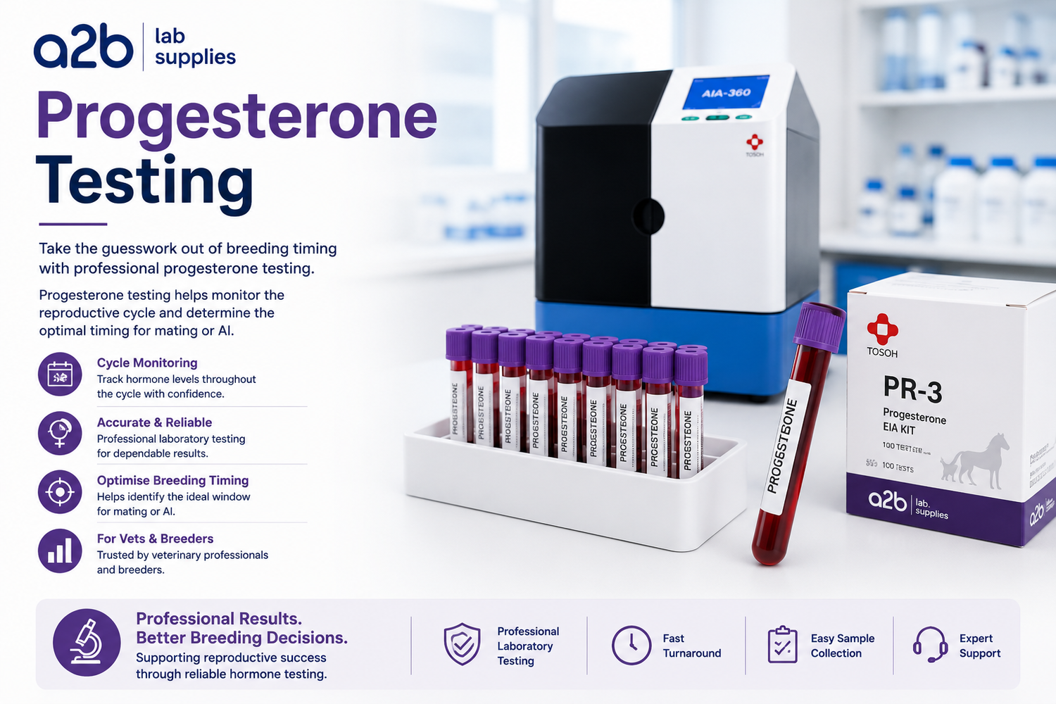 Our Testing Services